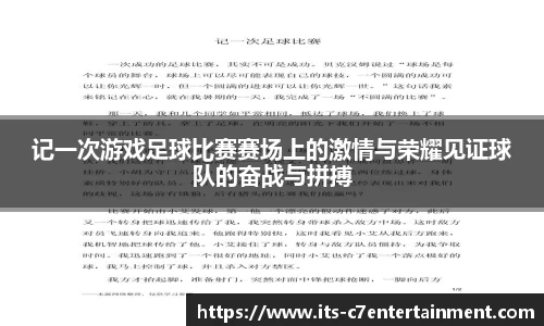 c7娱乐公司