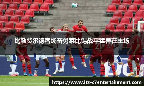 c7娱乐公司