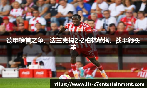 c7娱乐公司