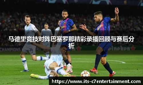 c7娱乐公司
