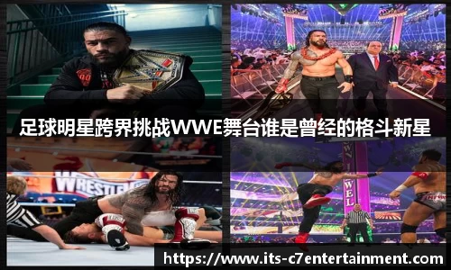 c7娱乐公司